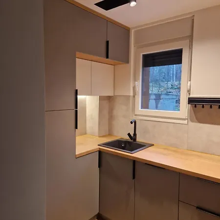 Mountain Dreams 아파트 Divčibare