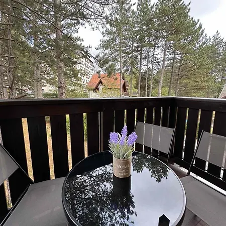 Mountain Dreams Apartment *