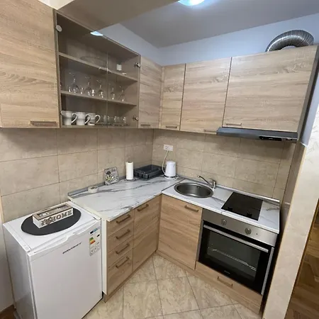 Apartment Mountain Dreams Zlatibor