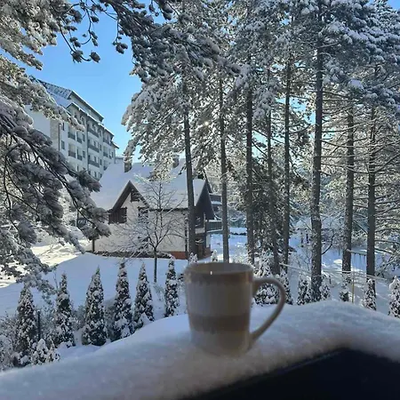 Apartment Mountain Dreams *