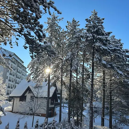 Mountain Dreams * Zlatibor