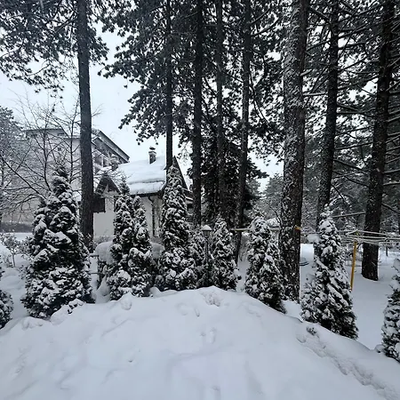 Mountain Dreams Apartment